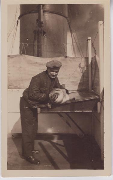 photo29.jpg