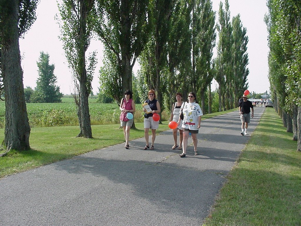photo32.jpg